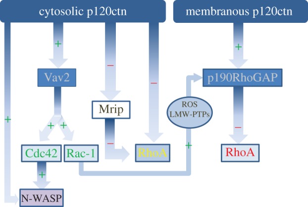 Figure 4.