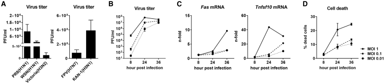 Figure 1