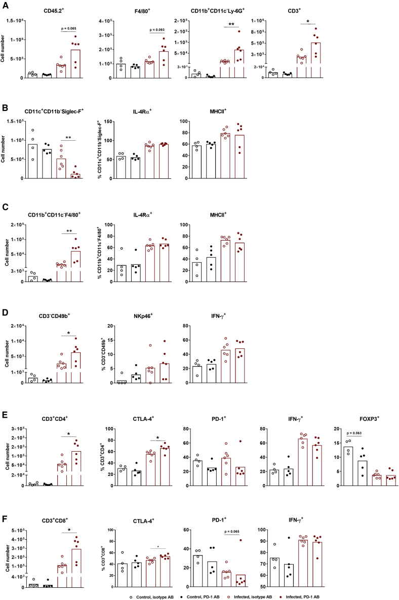 Figure 6