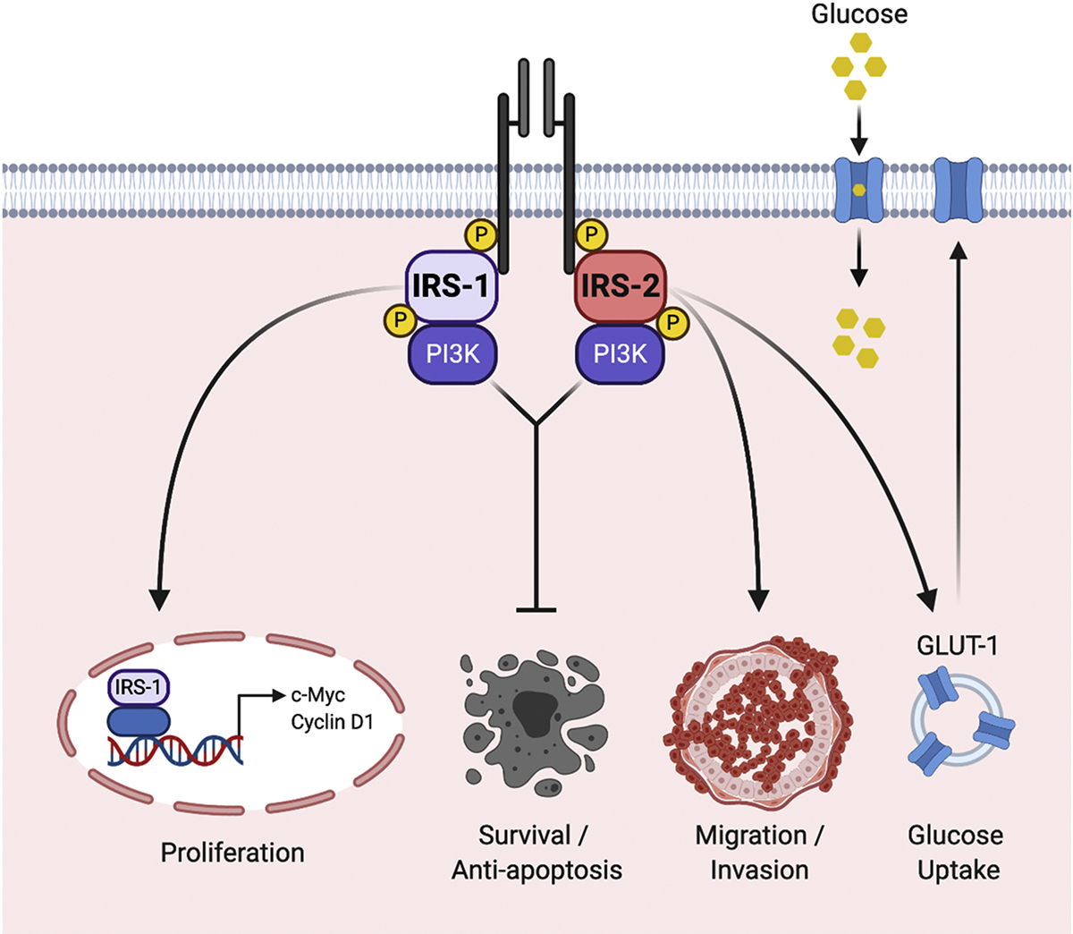 Figure 4: