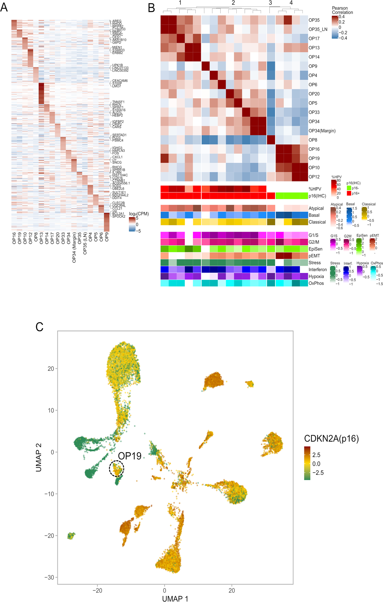 Extended Data Fig. 4.