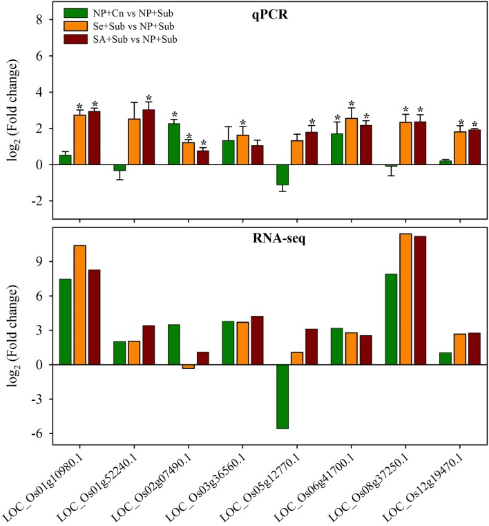 Figure 6