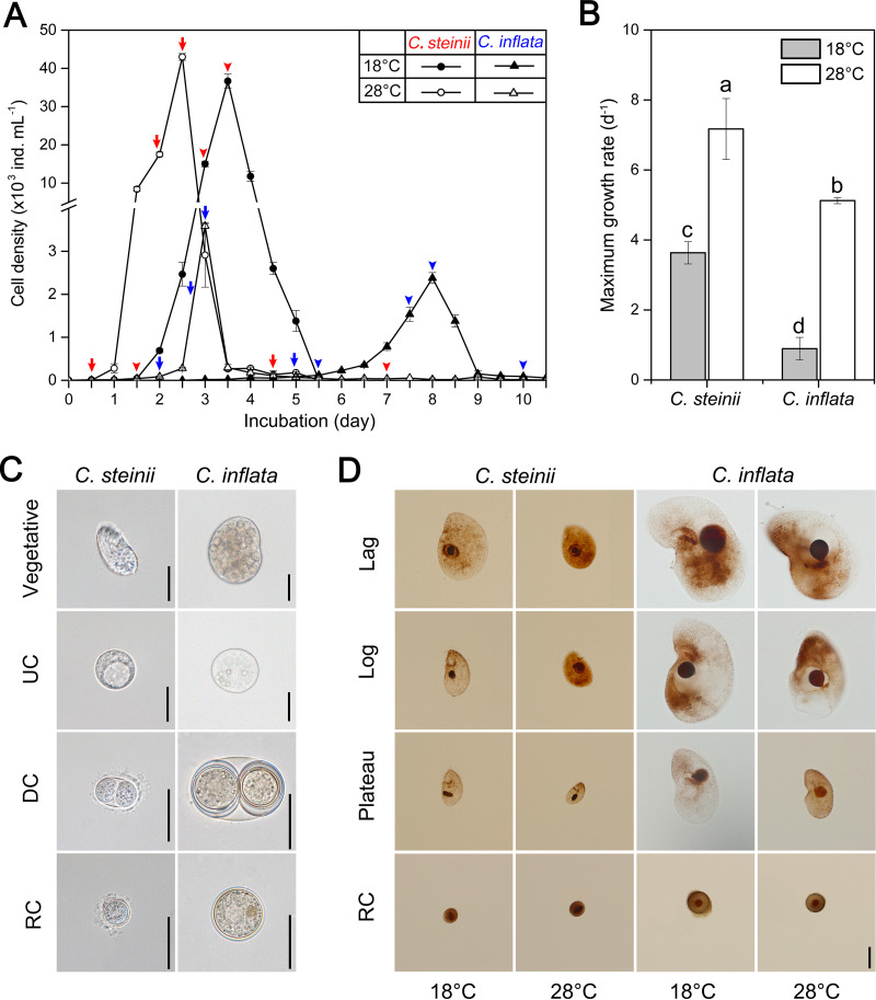 FIG 1