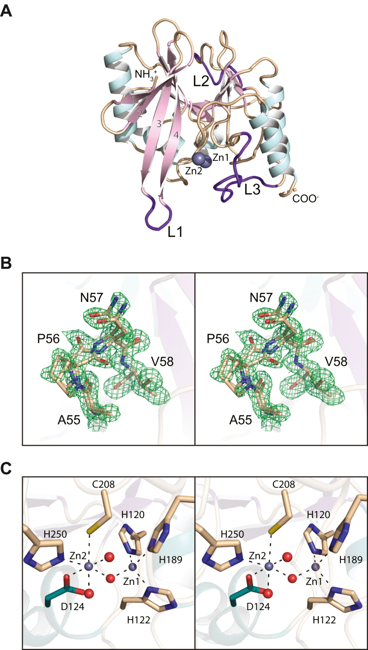 Figure 2