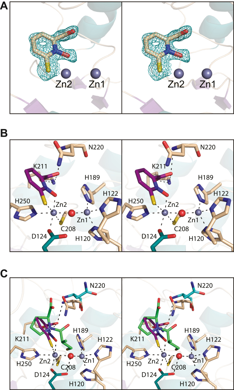 Figure 4