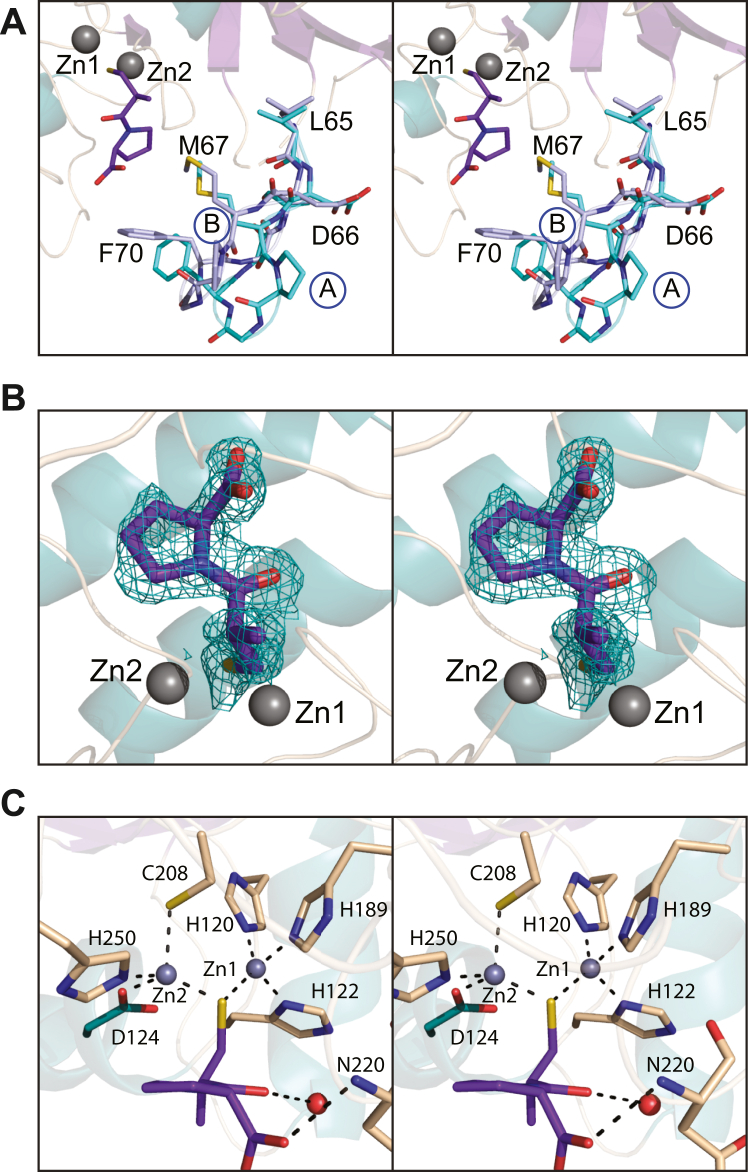 Figure 3