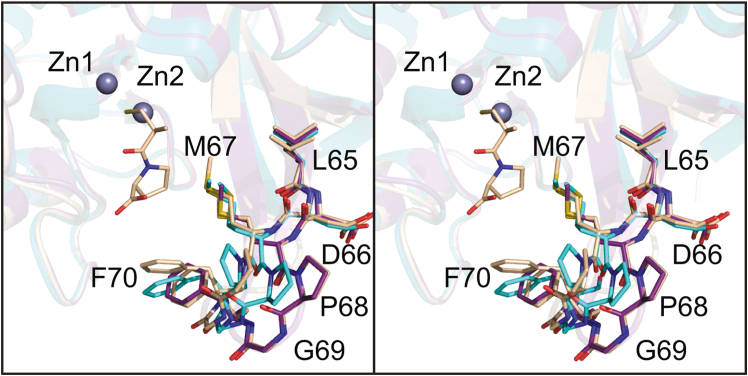 Figure 7