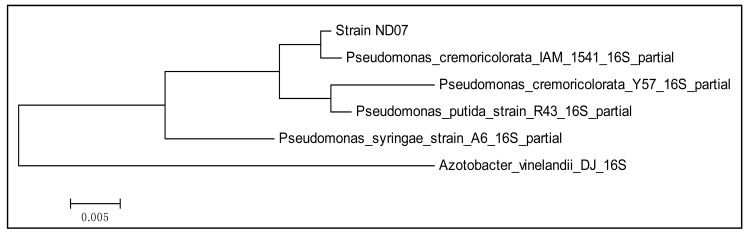 Figure 1.