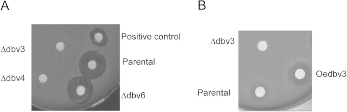 FIG 3