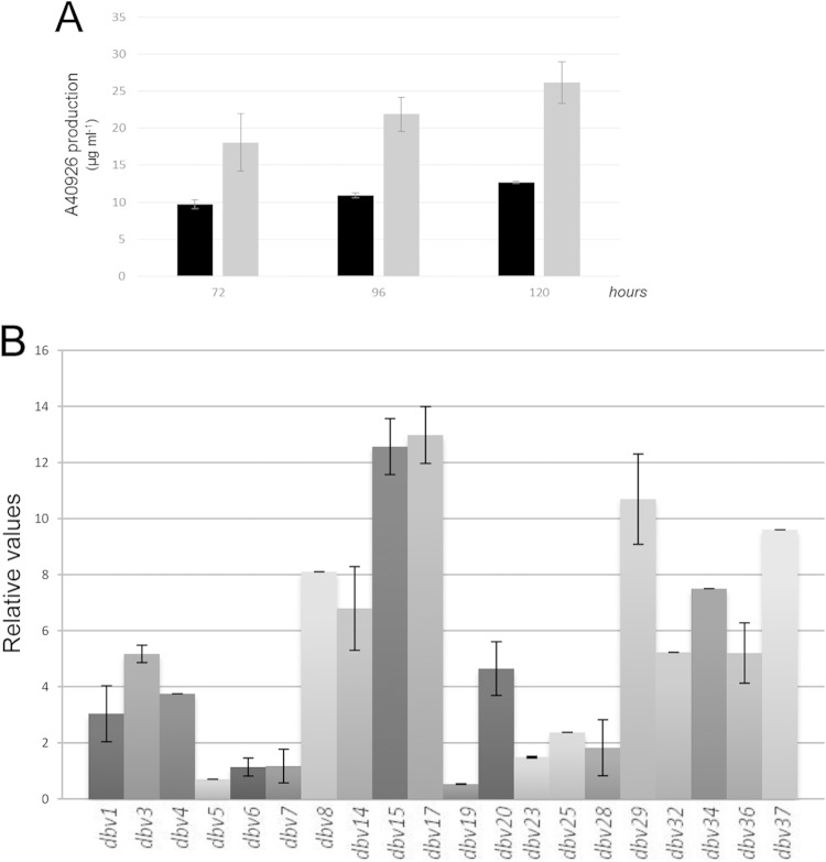 FIG 6