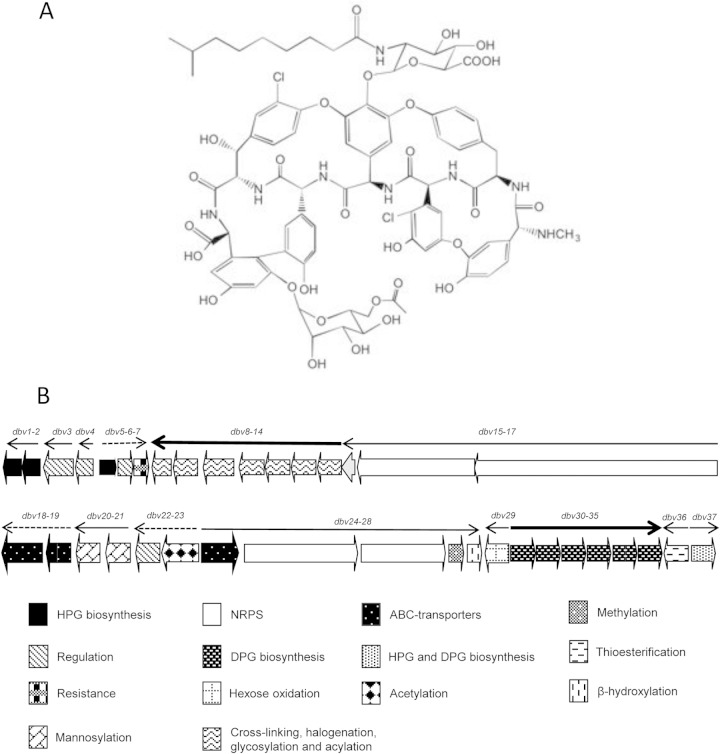 FIG 1