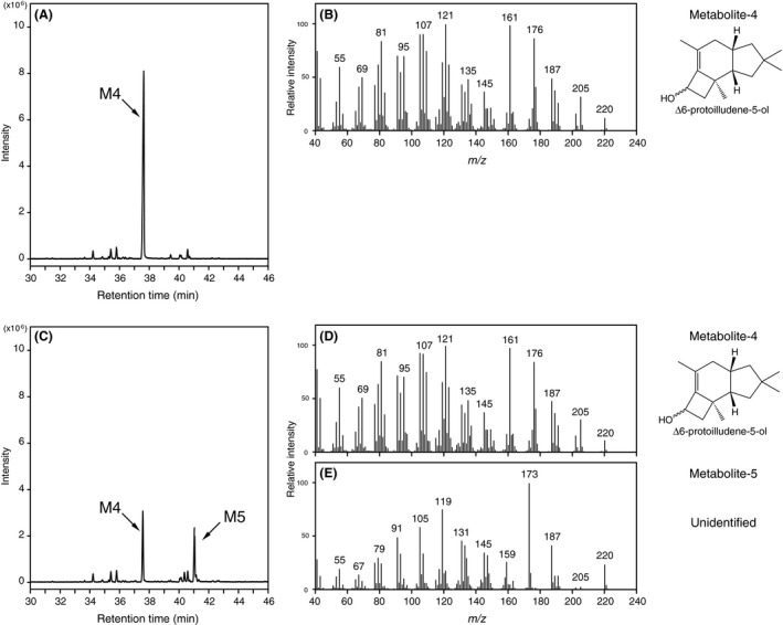 Figure 5