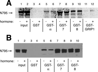 Figure 7.