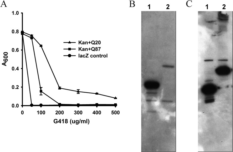 FIG 9