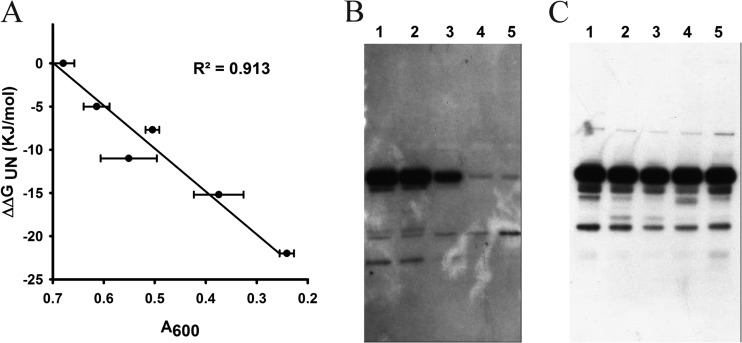 FIG 8