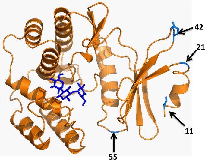 FIG 3