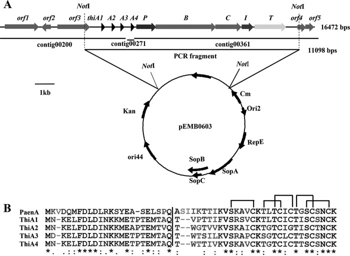 FIG 3