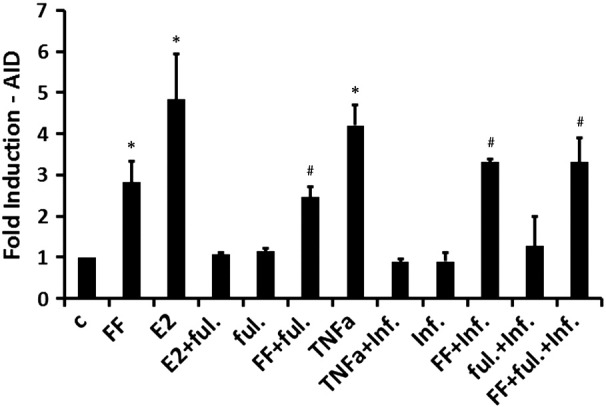 Figure 4