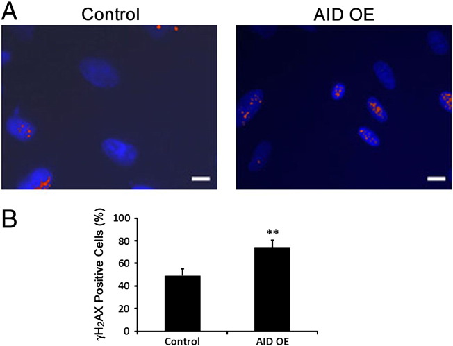 Figure 6