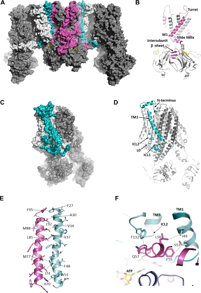 Figure 3.