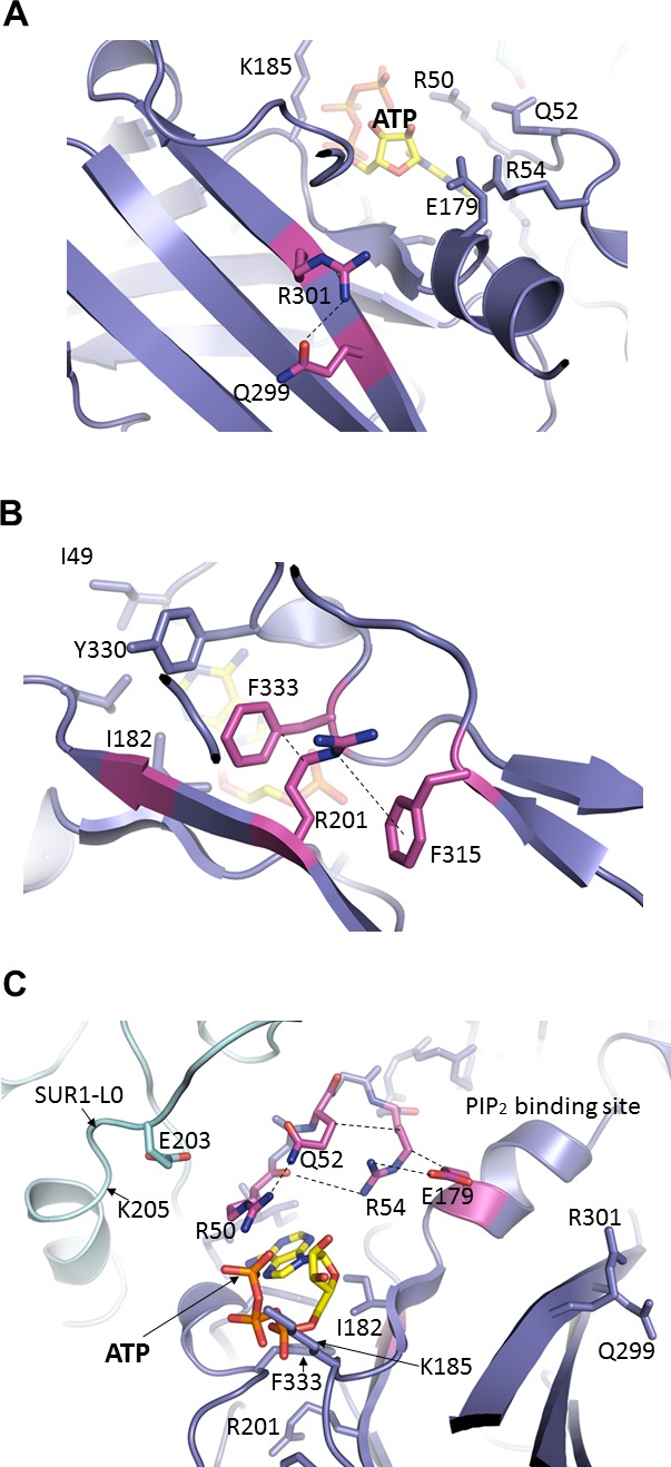 Figure 5.