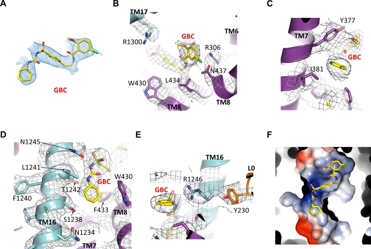 Figure 6—figure supplement 1.