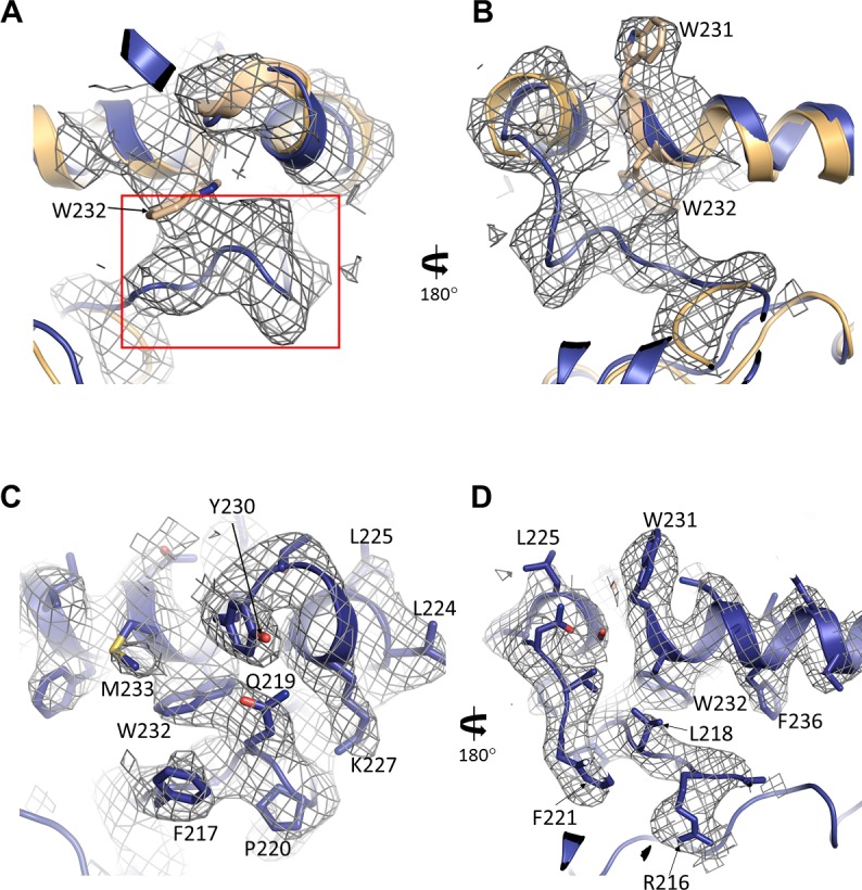 Figure 8—figure supplement 1.