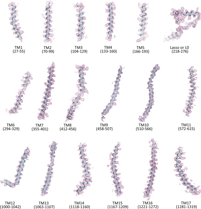 Figure 2—figure supplement 2.