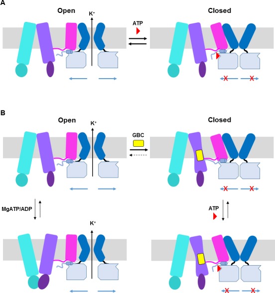 Figure 9.