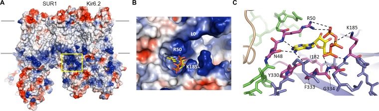 Figure 4.