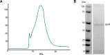 Figure 3—figure supplement 1.