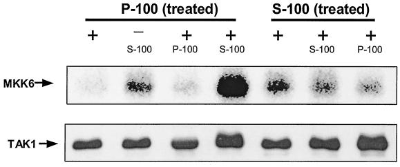 FIG. 8.