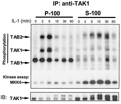 FIG. 7.