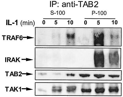 FIG. 6.