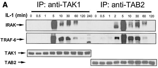 FIG. 4.