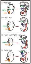 Fig. 9