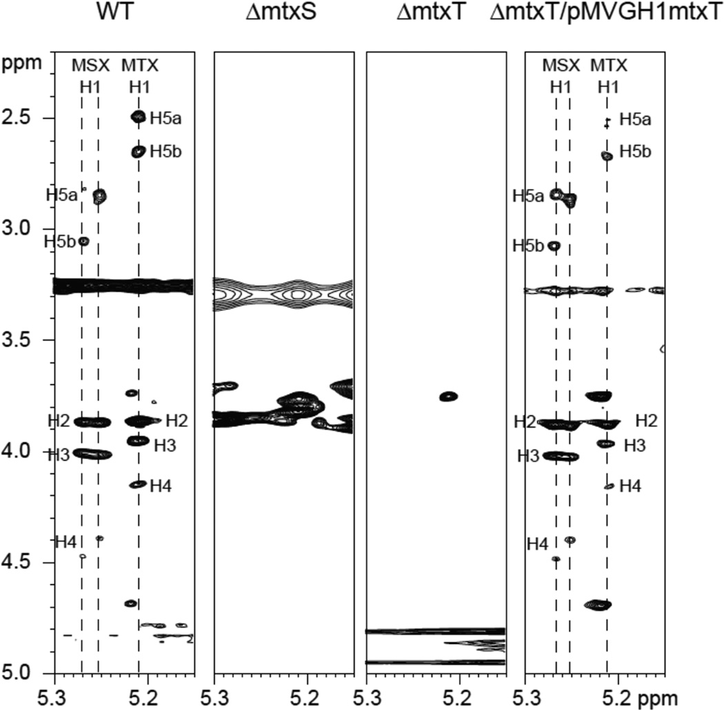 Figure 5