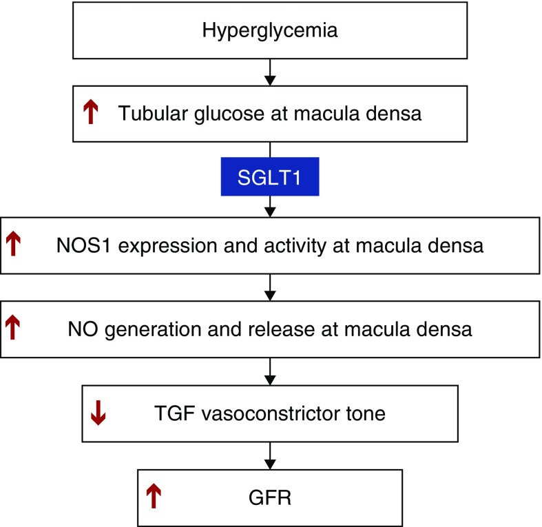 Figure 7.