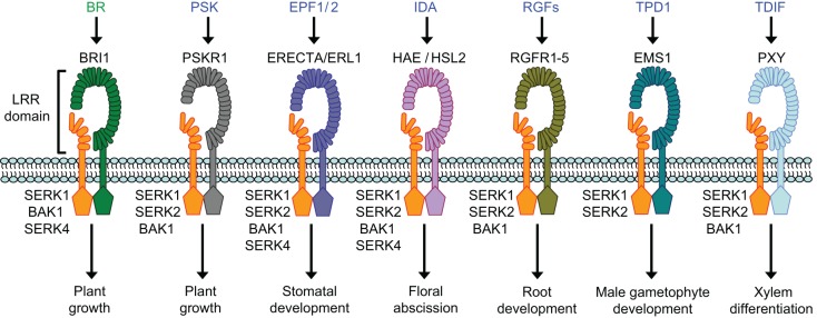 Fig. 2.