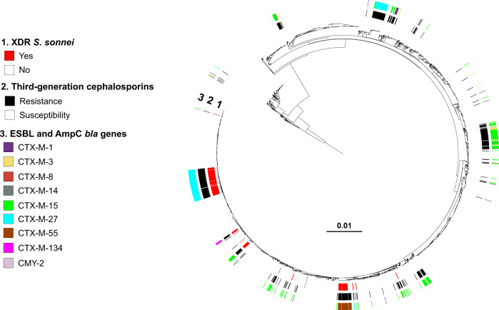 Fig. 6