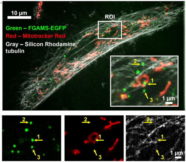 Figure 3.