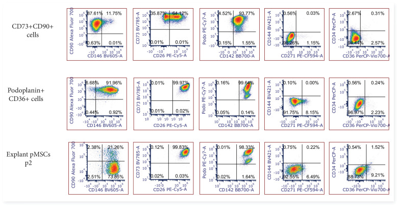 Figure 4—figure supplement 1.