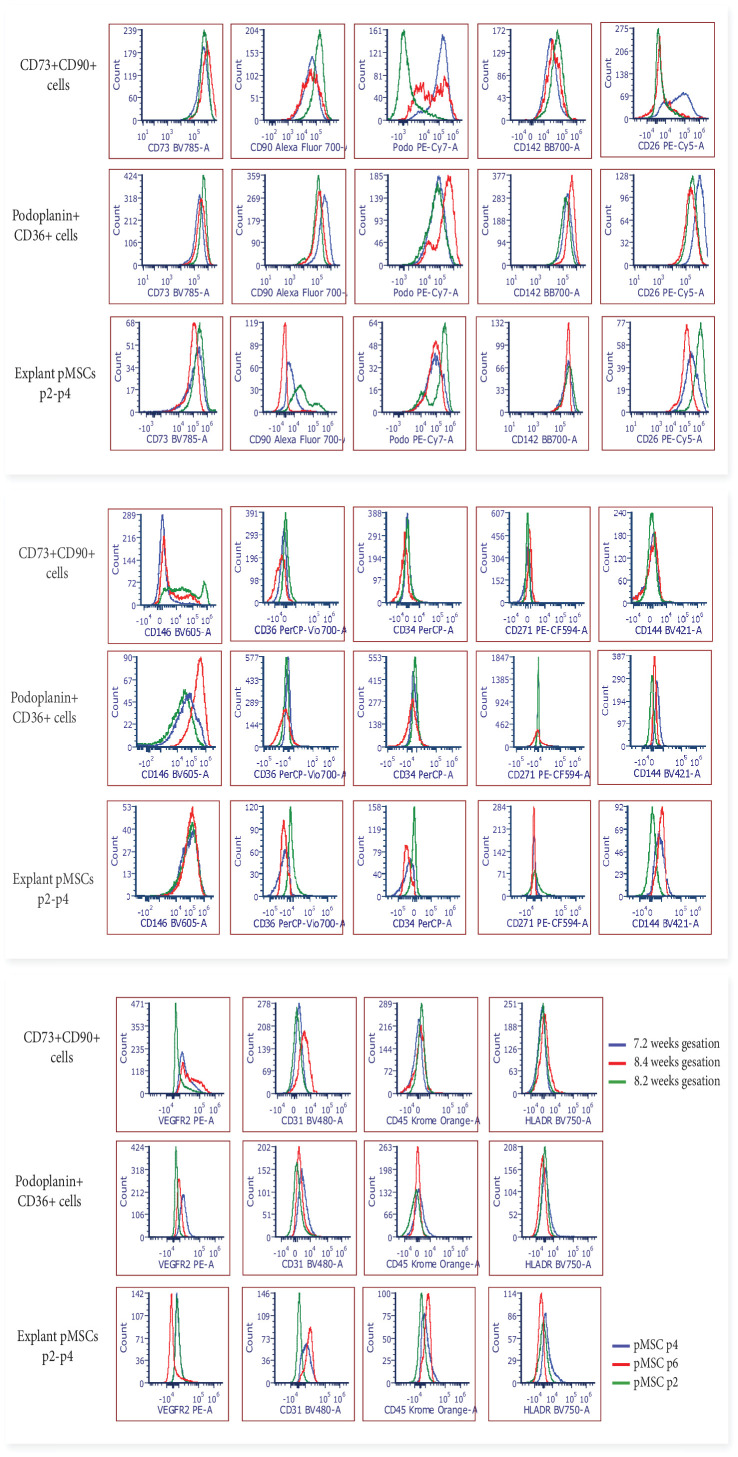 Figure 4—figure supplement 2.