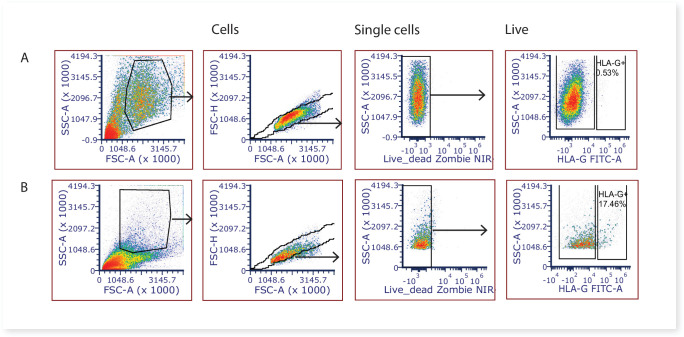 Figure 7.