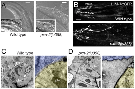 Fig. 5.