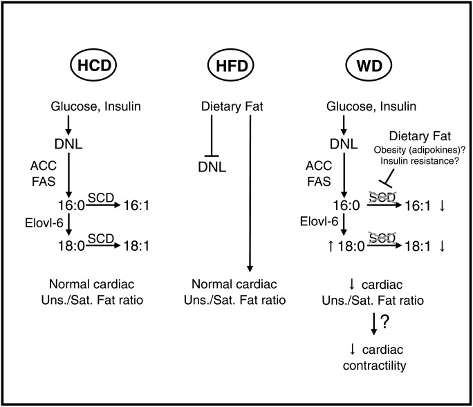 Fig. 9.