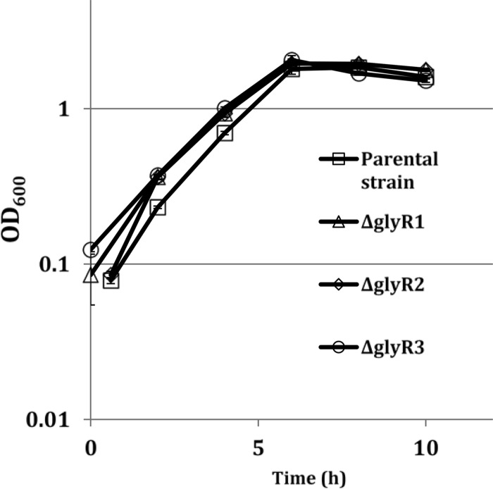 FIG 1