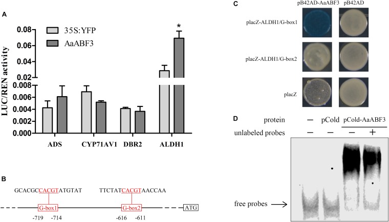 FIGURE 4