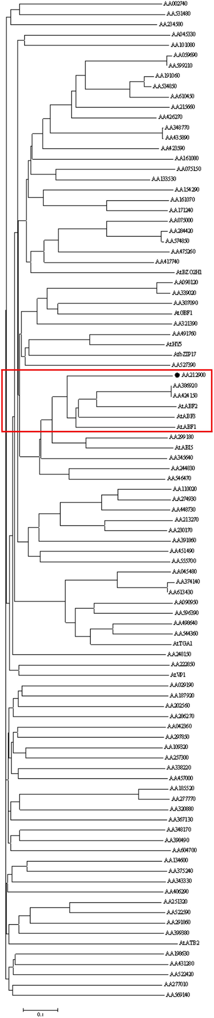 FIGURE 1