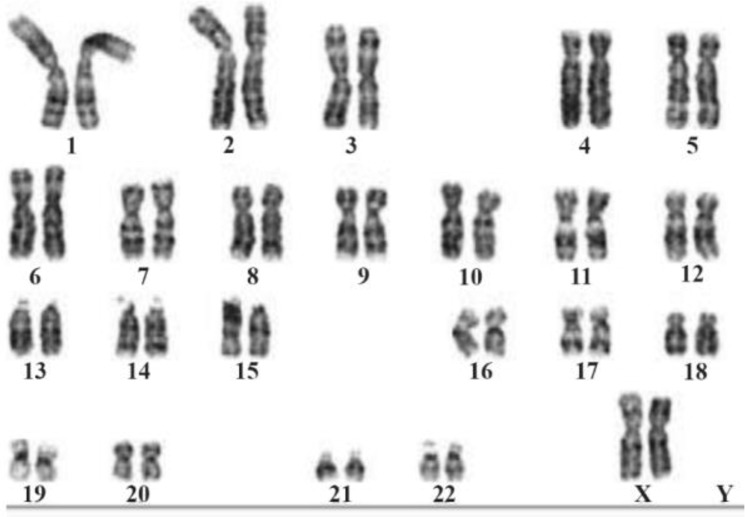 Figure 1.